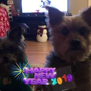 Meet your Posher, Brandi